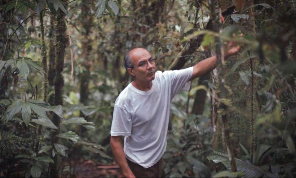 Эквадорец воссоздал леса Амазонки