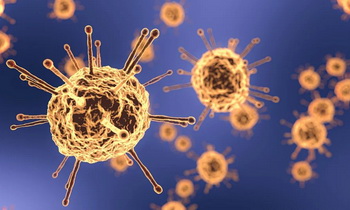 Коронавирус в Ленобласти: за последние сутки выявлено 413 новых случаев