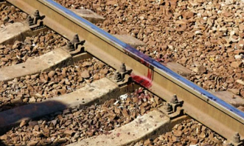 Грузовой поезд насмерть сбил пенсионерку в Ленобласти