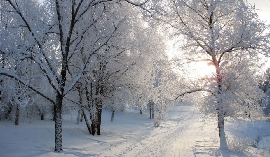 Мороз и солнце; день чудесный! Погода в СПб и Ленобласти