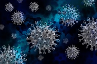 Коронавирус в Ленобласти: за последние сутки выявлено 2117 новых случаев