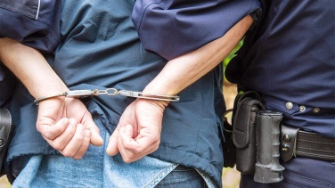 Полицейские Всеволожского района задержали грабителя