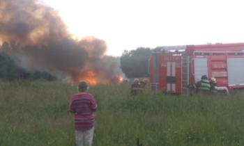 В Гатчинском районе Ленобласти разбился вертолет