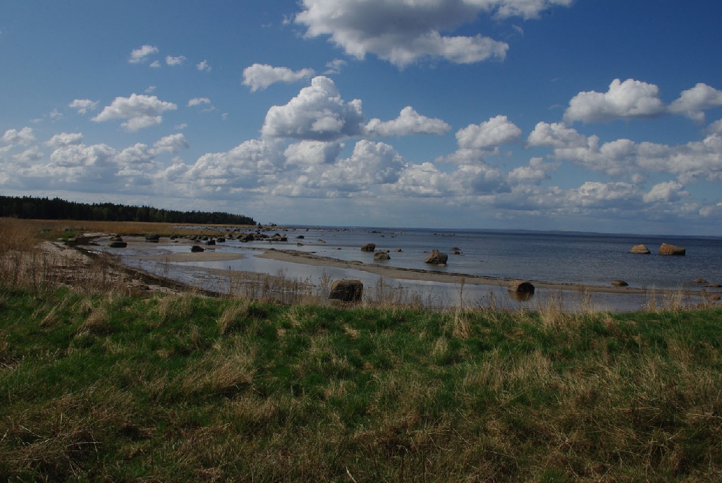 Кургальский заказник презентация