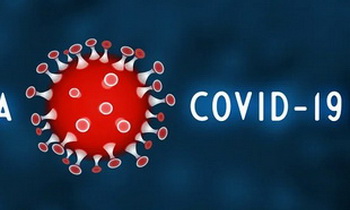 Коронавирус выявили в 115 городах и поселках Ленобласти