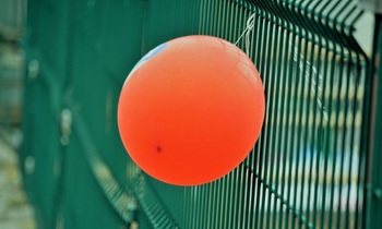 «Меня надули!»