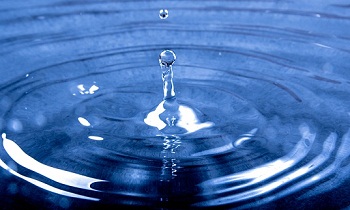 Заявка молодой мамы как в воду канула