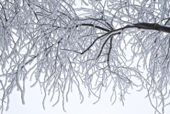 Прогноз сюрпризов не принес – вновь без осадков и мороз