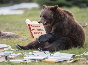 «Толстая» победа