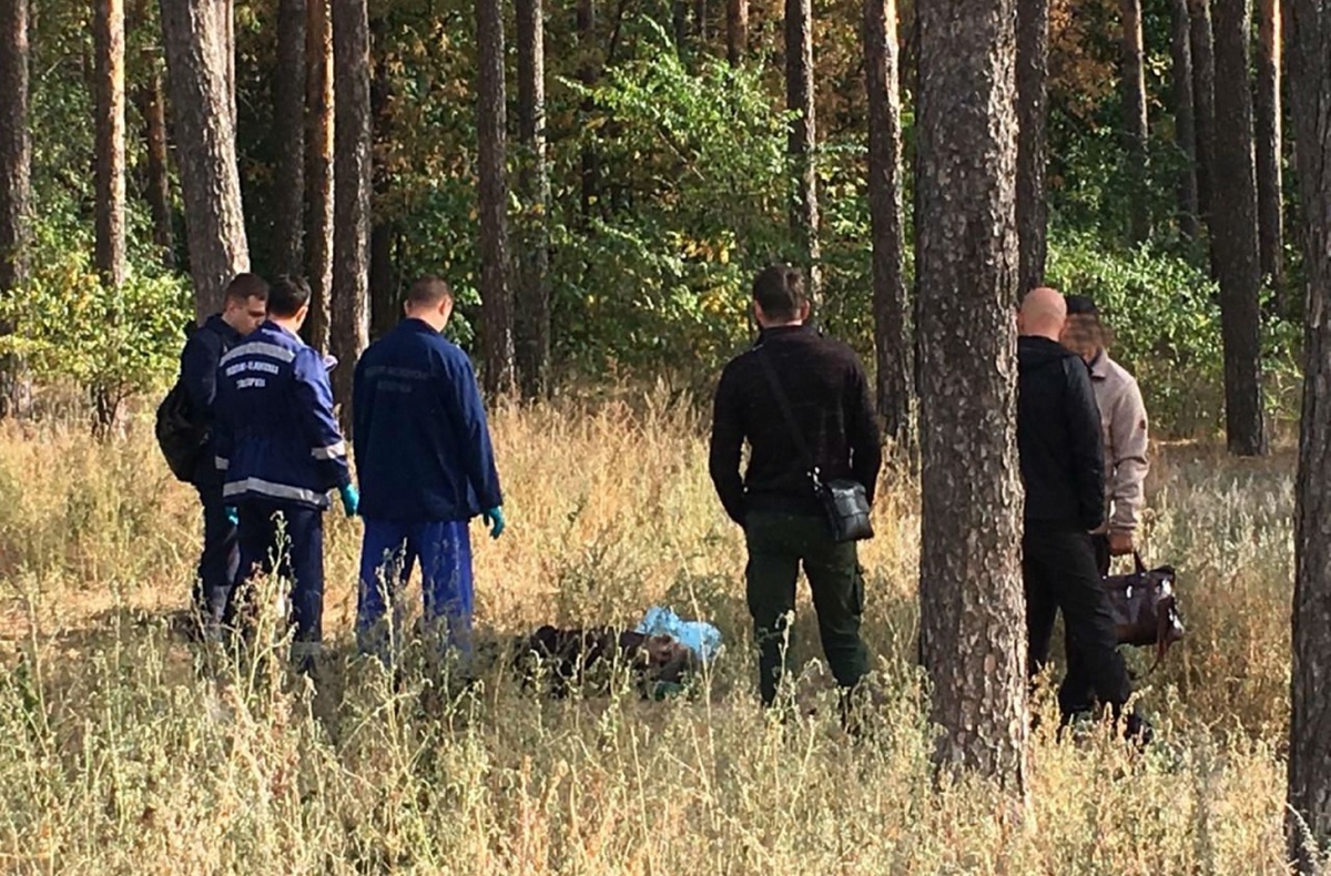 Труп в Бокситогорском лесу. Четверым избившим до смерти женщину вынесли приговор
