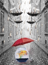 Если с неба падает рыба, то – жди беды