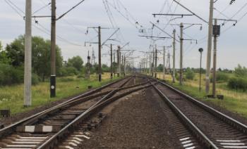 45-летний житель Ленобласти перемещался в электричках по липовому студенческому билету