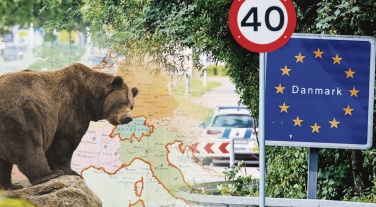 Рай для косолапой «убийцы»