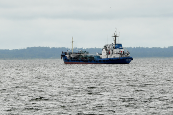 Ленобласть создала Морской совет