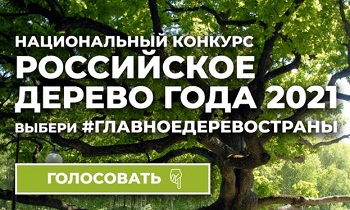 Ленинградская область – участник конкурса «Российское дерево года 2021»!