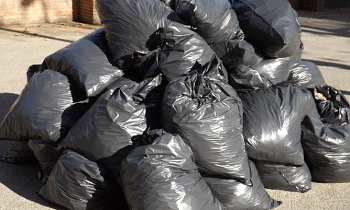 Ленинградцы поставили международный рекорд по сбору мусора