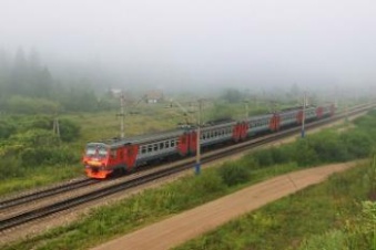 Поезд сбил лося между станциями Чаща и Чолово