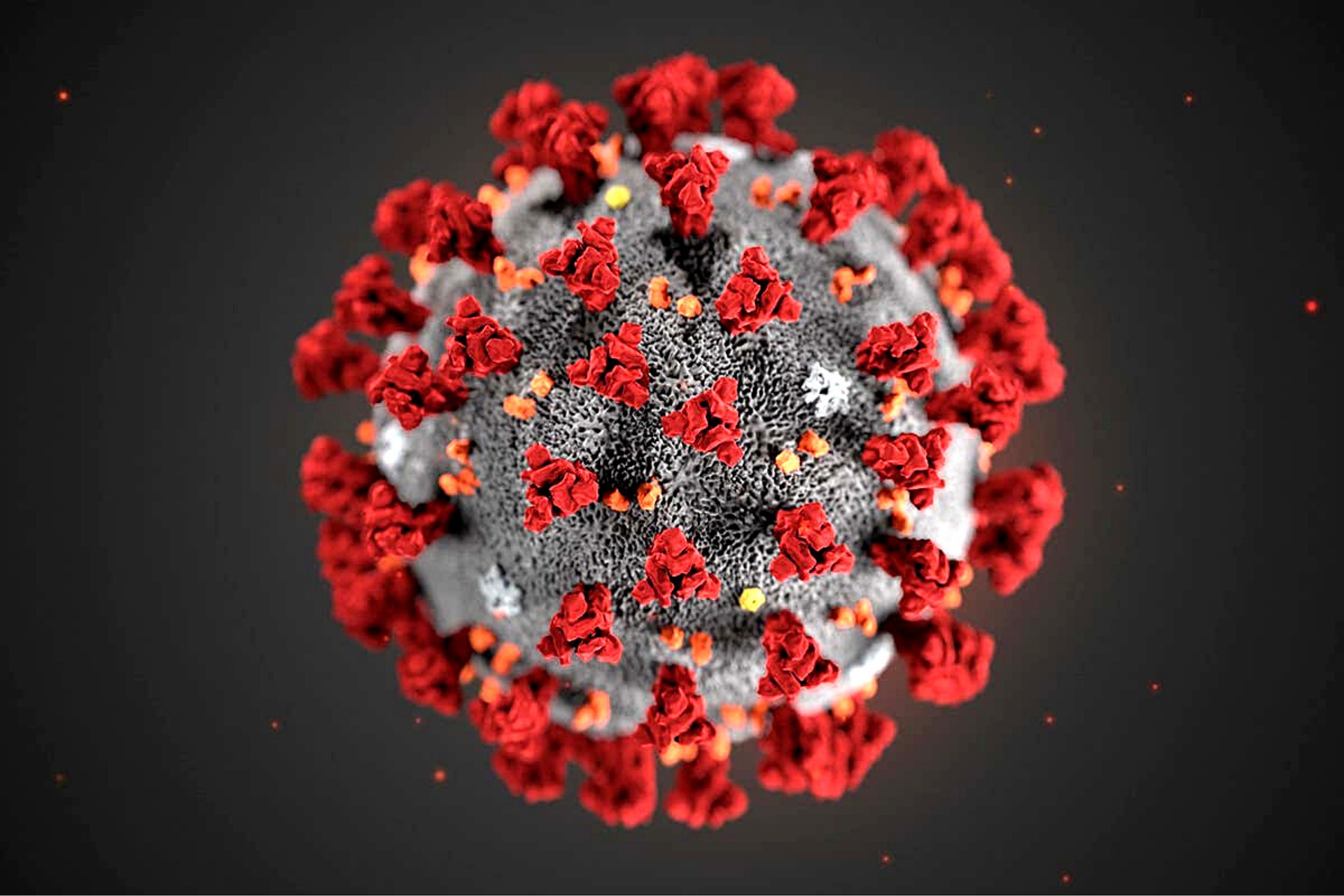 Во Всеволожском районе за сутки выявили 46 случаев коронавируса