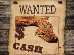 Полсотни долларов за голову питона