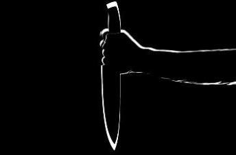 В СНТ у деревни Дятлицы женщина порезала ножом провинившегося возлюбленного