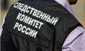 В Яльгелево женщина с племянником избили 15-летнюю школьницу