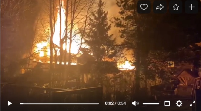 Очевидцы засняли видео пожара в СНТ Всеволожского района