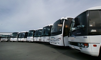 Пустят ли в Волосово дополнительные автобусы?