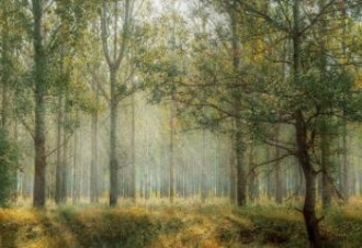 Прогноз погоды в СПб и Ленобласти: сентябрь – осенний месяц