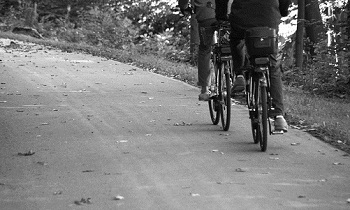 Улицы Всеволожска требуют благоустройства