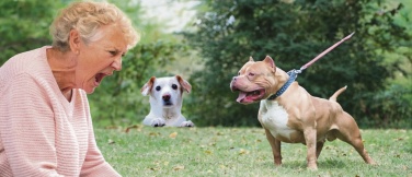 Мы сами – с зубами!