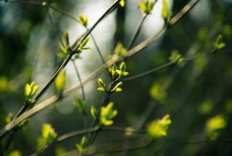 И весна еще не раз нам улыбнется. Прогноз погоды