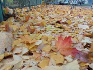 Продолжаем любоваться. Прогноз погоды в СПб и Ленобласти