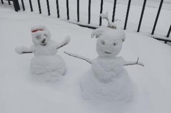 Самый теплый Новый год. Прогноз погоды в СПб и Ленобласти