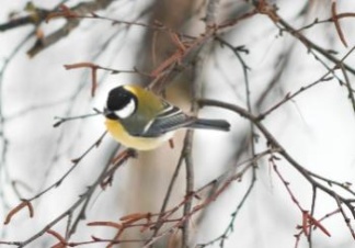 Играем в «Горячо – холодно». Прогноз погоды в СПб и Ленобласти