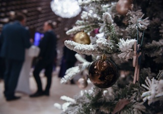 В атмосфере сказки и волшебства: как Ленобласть проведет новогодние каникулы