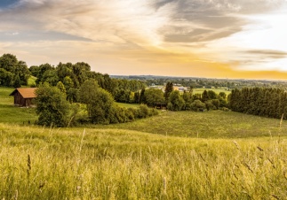 «Решение найдем за сутки»