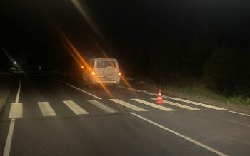 87-летний пешеход погиб, попав под колеса на трассе в Дятлицах