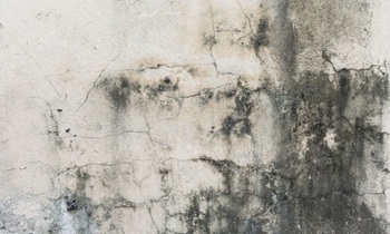 «От МУП ЖКХ ничего добиться невозможно»