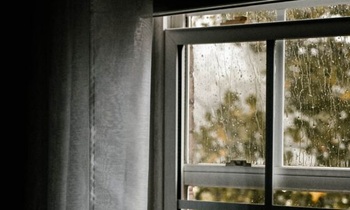 «Я сама выкинула деньги через окно!»