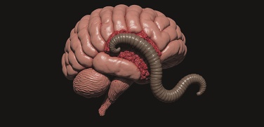 «Тараканы» в голове – не беда. Хуже, когда там – огромный червяк