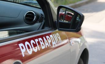 В Гатчине нетрезвый водитель устроил ДТП на глазах правоохранителей