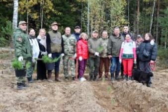 Приозерский район стал центром большой всероссийской экологической акции «Сохраним лес»