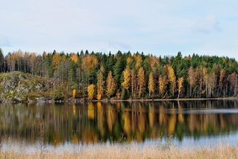 Зеркало осени