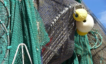 Женщина чуть не запуталась в рыболовных сетях пенсионера-браконьера