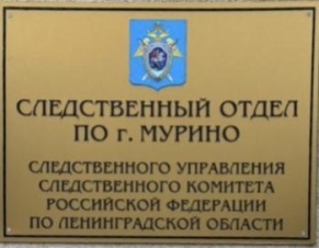 Пост жительницы Мурино привлек внимание следователей