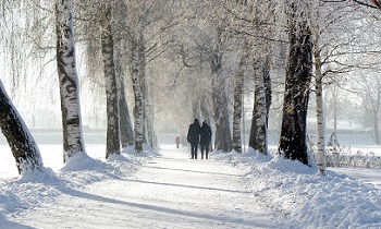 Губернатор планирует прогуляться в парке Бокситогорска