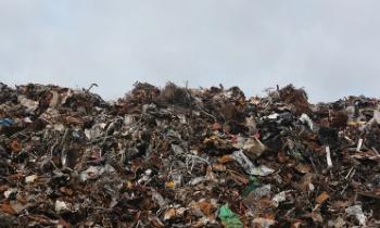 Ленобласть против мусорного полигона «Вуолы-Эко»