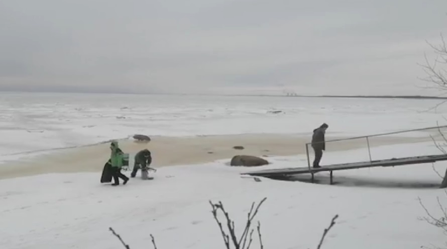 За один день в Ленобласти МЧС спасли 90 рыбаков со льда в Финском заливе