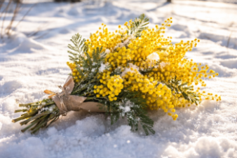 Март – коварный и прекрасный. Прогноз погоды в СПб и Ленобласти