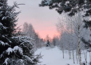Погода в новогодние праздники СПб и Ленобласть